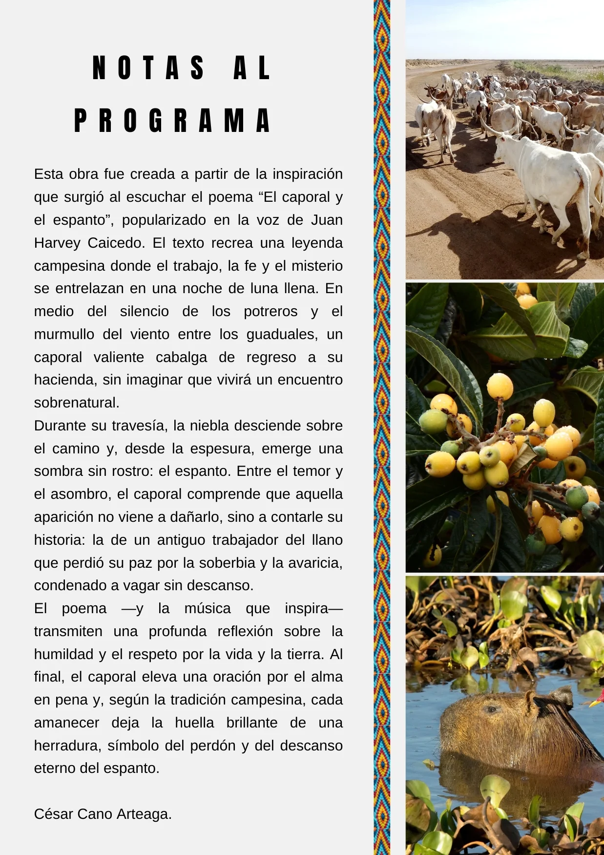 El caporal y el espanto - Image 2