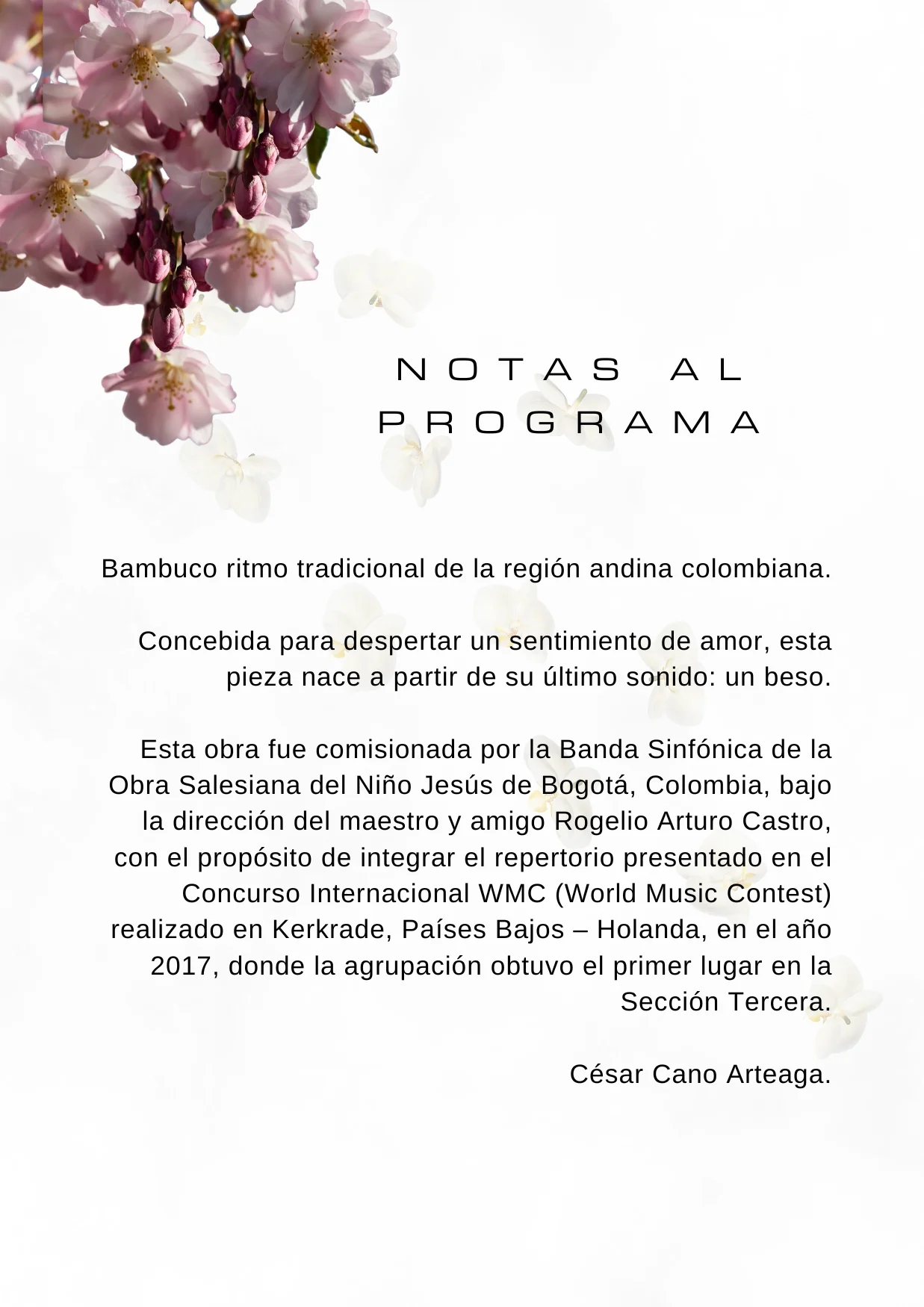 Bambuco pa Karola - Image 2